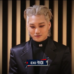 엑소 <b>카이</b>도 얼굴기복 심한듯