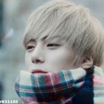 [EXO] 시우민팬들 <b>셔누</b>보다 얘로 더 갈아탔어