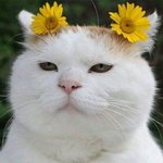 [댓글부탁해] 솔까 20대되니까 아이돌노래 <b>유치</b>해짐