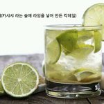 세계 곳곳의 <b>시원</b>한 여름 음료