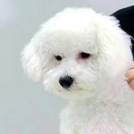 [EXO] 아니시1발 인간적으로 과외 조카 빡세다