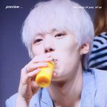 [EXO] 시우민팬들은 <b>셔누</b>보다 얘가 더 취향일걸?