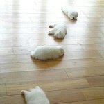 나오늘친구겨<b>털</b>봤다...