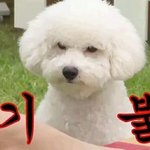 [EXO] ㅅㅂㅋㅋㅋㅋㅋㅋ까1톡 <b>통합</b>으로 싸움?ㅋㅋㅋㅋㅋㅋ