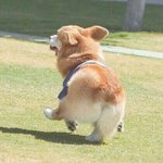<b>랜덤</b>채팅 앱추천좀ㅜㅜ