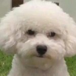 [VIVI] 비비 방송나오는데 <b>표정관리</b> 1도못함