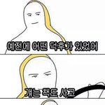 [인피니트] 규 샤<b>사샤</b> ㅋㅋㅋㅋㅋㅋ