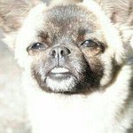 [방탄소년단] 그래 이제겨우 10일!!!