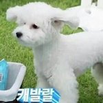 [EXO] 나 이부일<b>처제</b>할꺼임 김준면 오세훈이랑 결혼❤