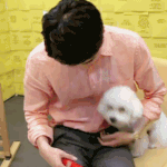 [EXO] <b>난이</b>짤이 너무좋음ㅜㅜ