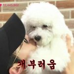 [EXO] 개보다 못<b>한</b>인생이란 말을 쓸<b>줄</b>은 몰랐다ㅅㅂ