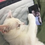 [EXO] 민석이가 고양이 <b>시로</b>하는거 넘 발림