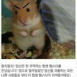 [댓글부탁해] <b>정주</b>행할 웹툰 추천좀 해줘!