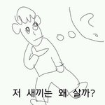 우리나라 돌아가는 꼴이 참