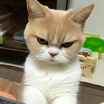 <b>난쟁이</b> 또 삐졌니?