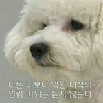 [EXO] 야 신발 나는 <b>단말기</b> 어쩌고 확인만 누르면 풀렸음
