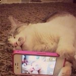 셀카 좀 찍어봤다는 <b>고수</b>들