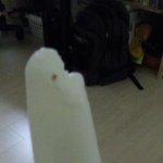 ㅅㅂㅋㅋㅋ나 요맘때<b>아스</b>크림먹다가 뭐붙어가지고