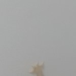 [댓글부탁해] 이게 무슨 <b>벌레</b>야?ㅠㅠㅠㅜ