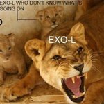 [EXO] 똑똑한 <b>엑셀</b>은 언급 그만합시다