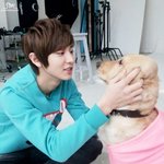 [EXO] <b>여리</b> 털알레르기있는애 맞니...