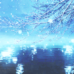 [드루와] 볼 거 없을 때