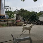 안녕<b>하세오</b> 또 루돌이예요