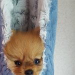 안구정화 알콩이 왔어요!!!!2