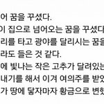 [방탄소년단] 방탄멤버들 태몽