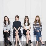윙카 <b>합동</b> 공연하는 남녀아이돌