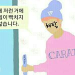 [세븐틴] <b>플</b><b>디</b>공지