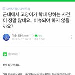 [소름실화] 군대에서 <b>학대</b>당한다는 고양이들