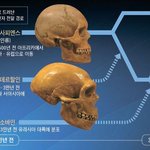 [댓글부탁해] ㅁㅊ네안다르탈인..
