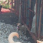 [도와주세요] <b>산업</b>폐기물속에서 발디딜틈을 못찾고 방황하던 설리