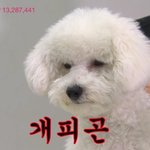 [EXO] 엑소까는 유명한?애들패턴ㅇㅇ