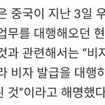 [세븐틴] <b>비자</b> 발급 중단된거 아니래