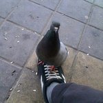 [EXO] <b>역삼동</b> 오늘자 2판오빠 preview