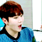 [세븐틴] ㅅㄷ) 애들예능많이나왔으면..