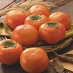 [방탄소년단] 이삐들 나진짜 감왔다 진짜