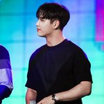아니왜큐브는