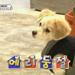 [EXO] 이분위기에 끼어들어서 미안한데