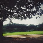 [EXO] 박스깔고 굿즈부스바로앞<b>잔디밭</b>에앉아있었음