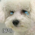 [EXO] 아진짜로 나 방금 <b>온몸</b>에 소름 쫙돋음;