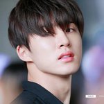 흔한 <b>헤디</b>,코디의 안티질