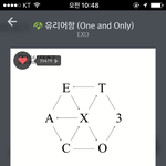 [EXO] 콘서트에선