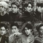 [EXO] 야 막 슬로건 이런 거ㅋㅋㅋ