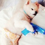 나 기립성<b>저혈압</b>인거 같은데