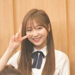 [제발조언좀] 8개월전 말티즈<b>입양</b>보냈는데 연락두절