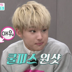 [세븐틴] 내 기준 권순영 햄찌미 갑