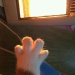 [댓글부탁해] 벅스쓰는 사란 들어와